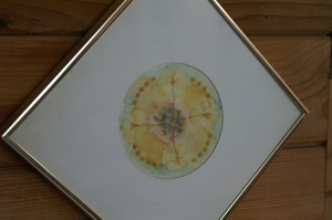 flowermandaleframed flowermandaleframed