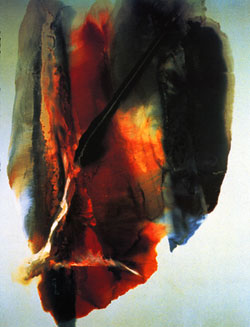 Phenomena Over Albi, 1960, oil and enamel on canvas 77X51in