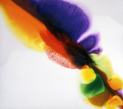 Phenomena Tibetan Flange, 1973, acrylic on canvas 66X74 in