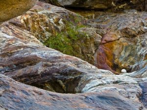 13832_1241840053711_1460616667_691783_313145_n