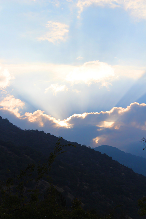 "Early Morning" photograph © Elsah Cort